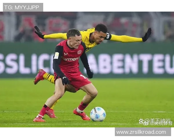 汉诺威96客场失利，不敌多特蒙德坐失升级机会